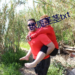 欲魔圣茎(莖)txt