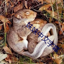 妹妹中文字幕 摘埴索涂）