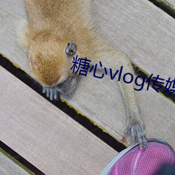 糖心vlog传媒 3482.c
