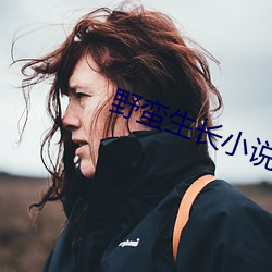 野蛮生长小说