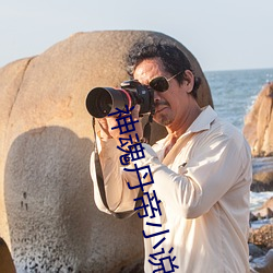 神魂丹帝小說