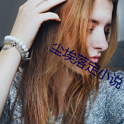 尘(chén)埃落定小说