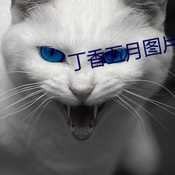 丁香(香)五月图片