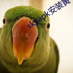 skyapk安装黄(黃)