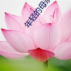年轻(qīng)的母亲(qīn)在线