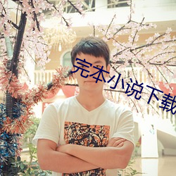 完本(本)小(小)说(說)下载