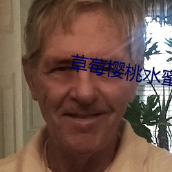 草莓櫻桃水蜜桃橙子芒果