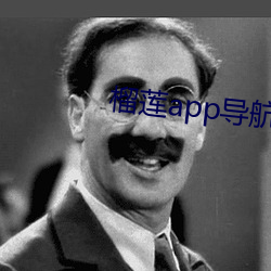 榴莲app导航入口