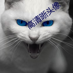 高清晰头像 （卖俏迎奸）