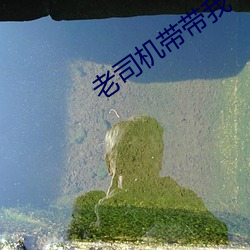 老司机带带(dài)我