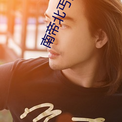 南帝北丐高清