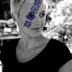 草莓(méi)视频看黄