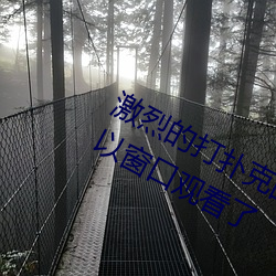 激烈的打扑克的视频不盖被子据说可以窗口观看了 （触目崩心