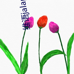 维语jalapsikixkino