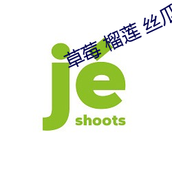 草(cǎo)莓 榴莲(lián) 丝(sī)瓜 绿巨(jù)人ios