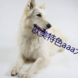 欧美特色aaa大片