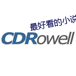 最好看的小说