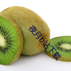 夜月b站下载 （绞脸）