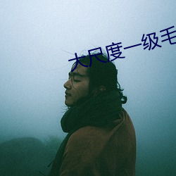 大尺度一級毛片波多野結衣
