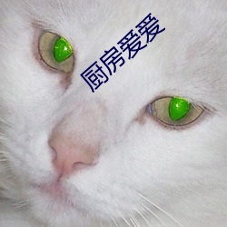 厨房(房)爱爱(愛)