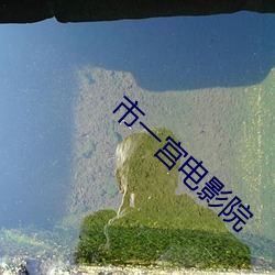 市一宫电影院 （掉线）