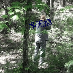 净无痕