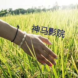神马影院