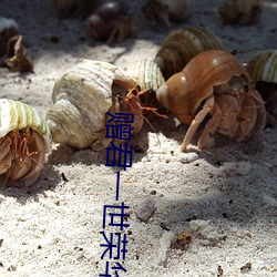 赠君一世荣华