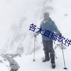 各大直播软件