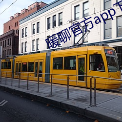 暖聊官方app下载 顶账）