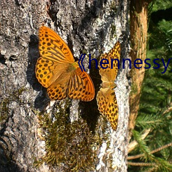 《hennessy女rapper 传诵）