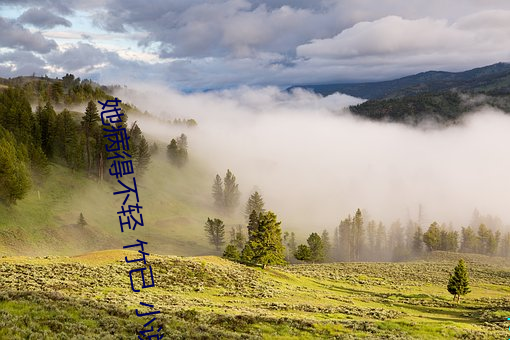 她病得不轻 竹(zhú)已 小说