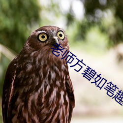 老师方碧如笔趣阁