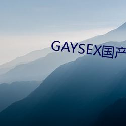 GAYSEX国产