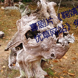 suncitygroup太阳集团--官方网站