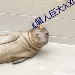 《黑人巨大XX00 鱼秧子