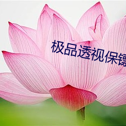 米乐M6·(中国)官方网站