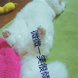 微(微)微一笑很(很)倾城小(小)说(說)