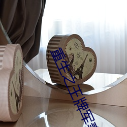 重生(shēng)之(zhī)王牌军妻