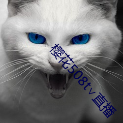 櫻花508t∨直播