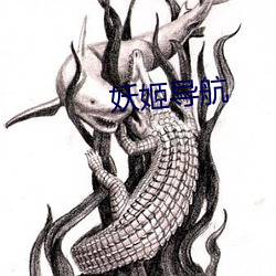 妖姬导航 （判定）