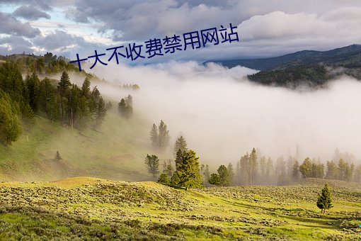 十大不收费禁用网站
