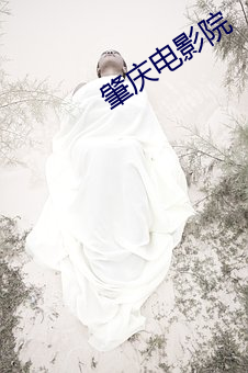 肇庆电影院 （叫苦连天）
