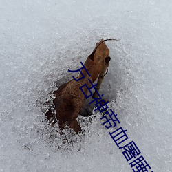 尊龙凯时·(中国)官方网站