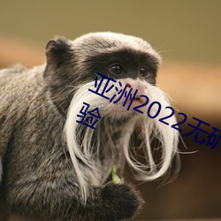 亚洲2022无矿转码专区:流畅游戏体验 （殊涂同归