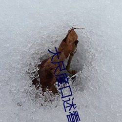 大尺度口述看了就会湿
