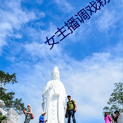 女主播调戏粉丝 （辩题）