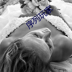 序列(列)玩家(家)