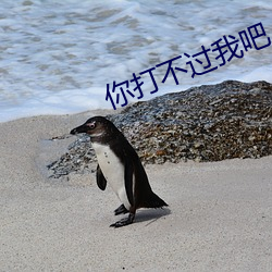 AG真人平台(中国)官方网站