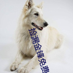 九游会登录j9入口 - 中国官方网站 | 真人游戏第一品牌